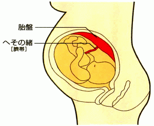 プラセンタ療法